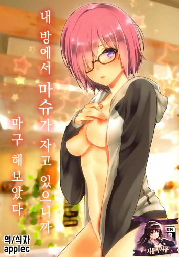Ore no Heya de Mash ga Neteta kara Muchakucha ni Shite mita. | 내 방에서 마슈가 자고있으니까 마구 해보았다. cover