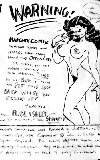 Naked Hide N Seek cover