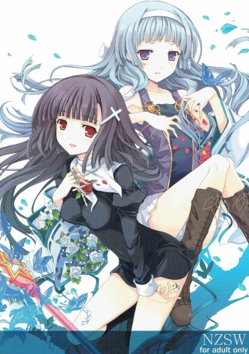 NZSW cover