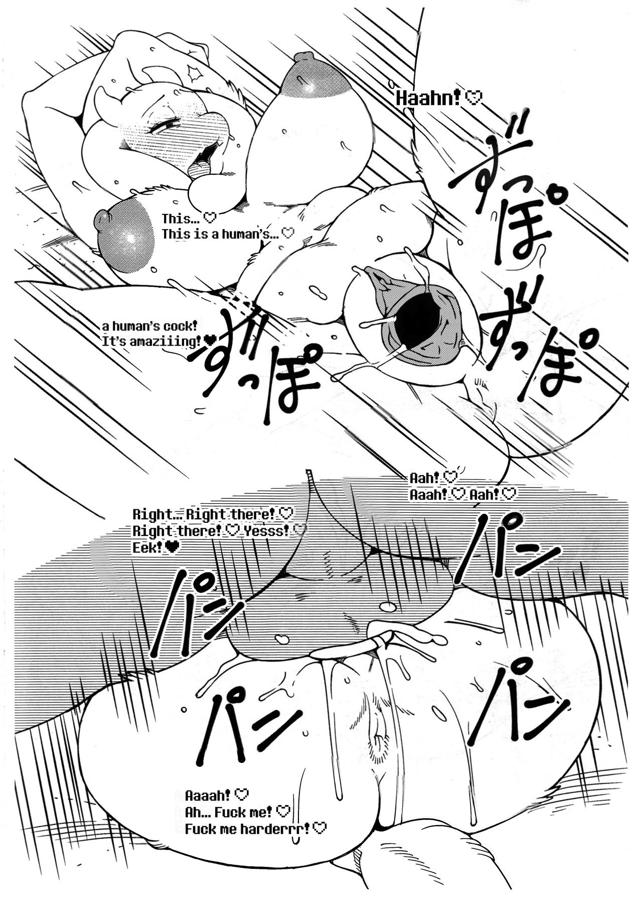 Toriero   =TLL + CW= page 7 full