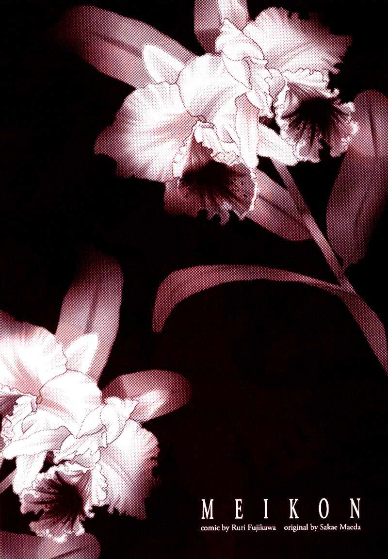 Meikon | Spirit Marriage page 3 full