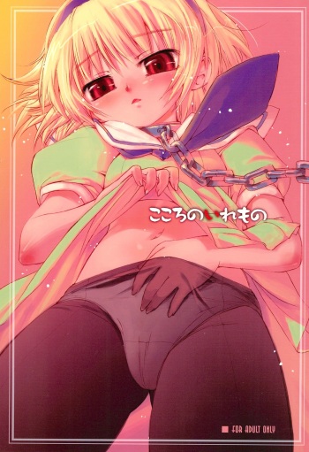 Kokoro no Iremono cover
