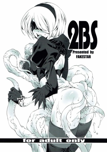 2BS cover