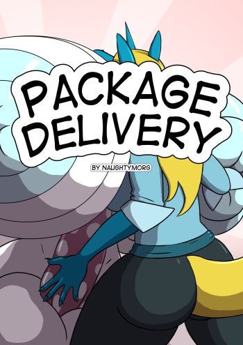 Package Delivery cover