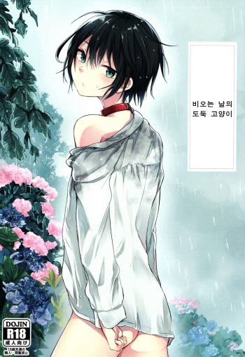 Nora Neko to Rainy Days cover