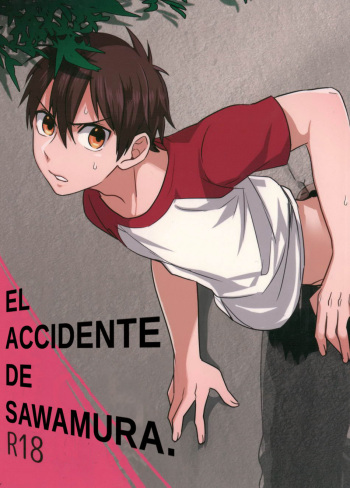Aru Hi no Sawamura Eijun no Sainan | El accidente de Sawamura cover