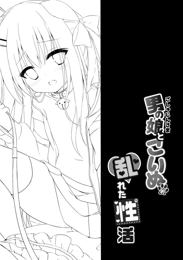 Goshujin-sama to Koinu no Midareta Seikatsu 2-kame | 주인님과 낭자아이 코이누 문란한 생활 page 3 full