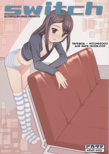 switch cover