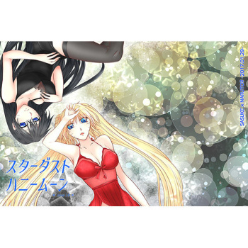 Stardust Honeymoon cover