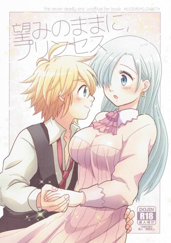 Nozomi no Mama ni, Princess cover