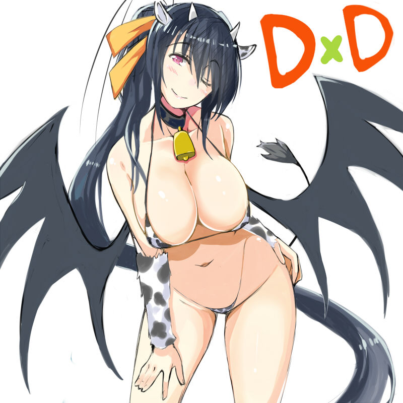Akeno Himejima page 8 full