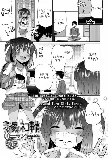 Waga Uchi no Neko Jijou cover