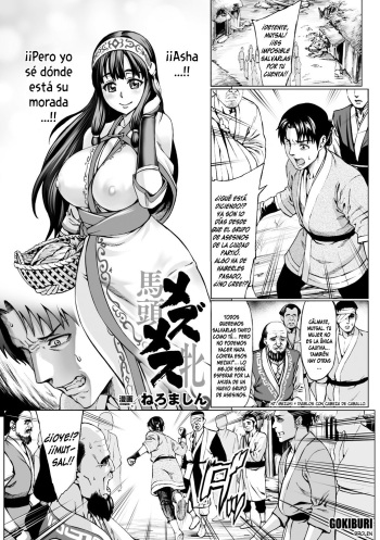 Mezumesu cover