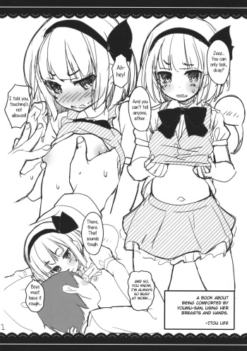 Youmu-san ni Oppai to Tekoki de Nagusamete Morau Hon cover