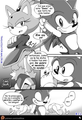 Sonic &amp; Blaze cover