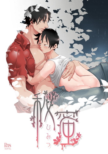 Himitsu | Secret cover