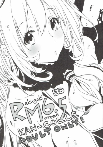 RM6.5 cover