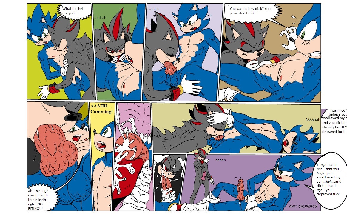 SONIC VS SHADOW YAOI - HQ page 2 full