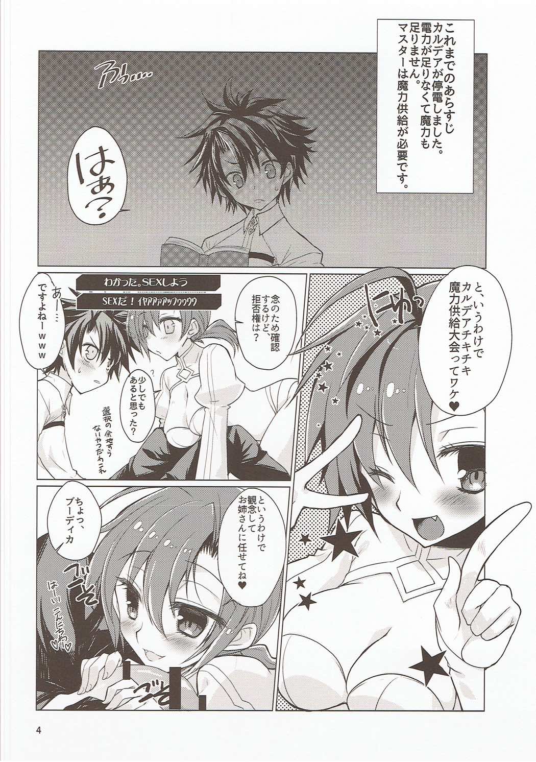 FGO no Usui Hon. page 3 full