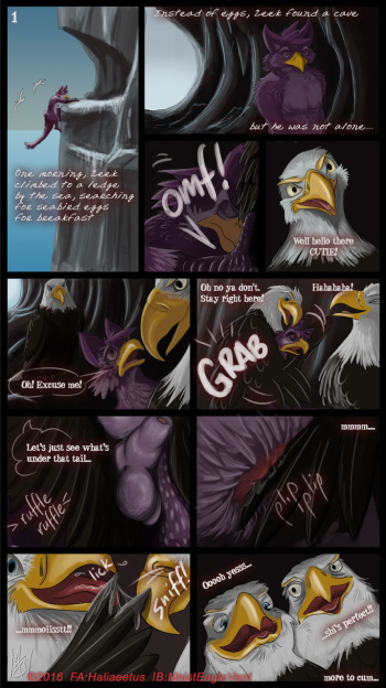 Zeek Finds An Eagle Eyrie cover