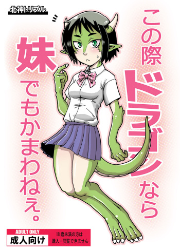Konosai Dragon nara Imouto demo Kamawanee. cover