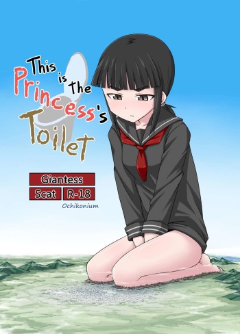 Koko wa Hime-sama no Toile desu cover