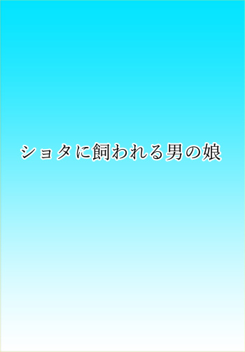 Super Hentai Comic Shota ni Kawareru Otokonoko cover