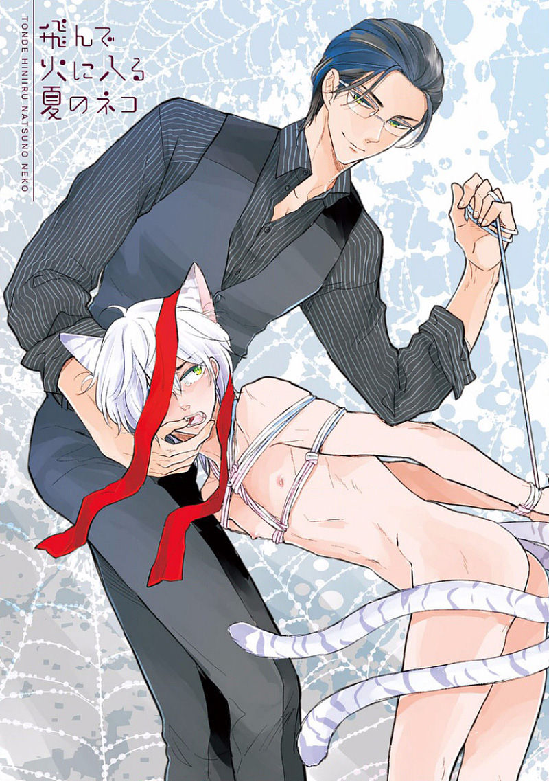 Tonde Hi Ni Iru Natsu No Neko Ch.1 page 4 full