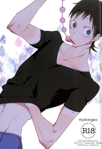 Hydrangea cover