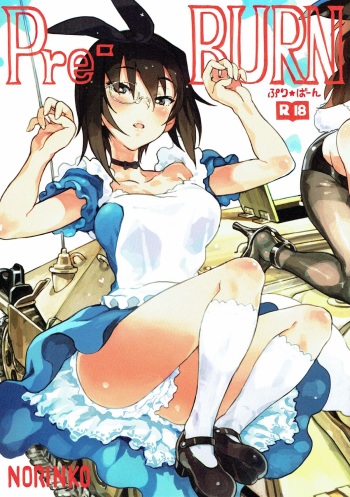 Pre-BURN cover