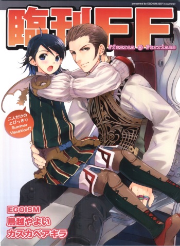 Rinkan FF cover