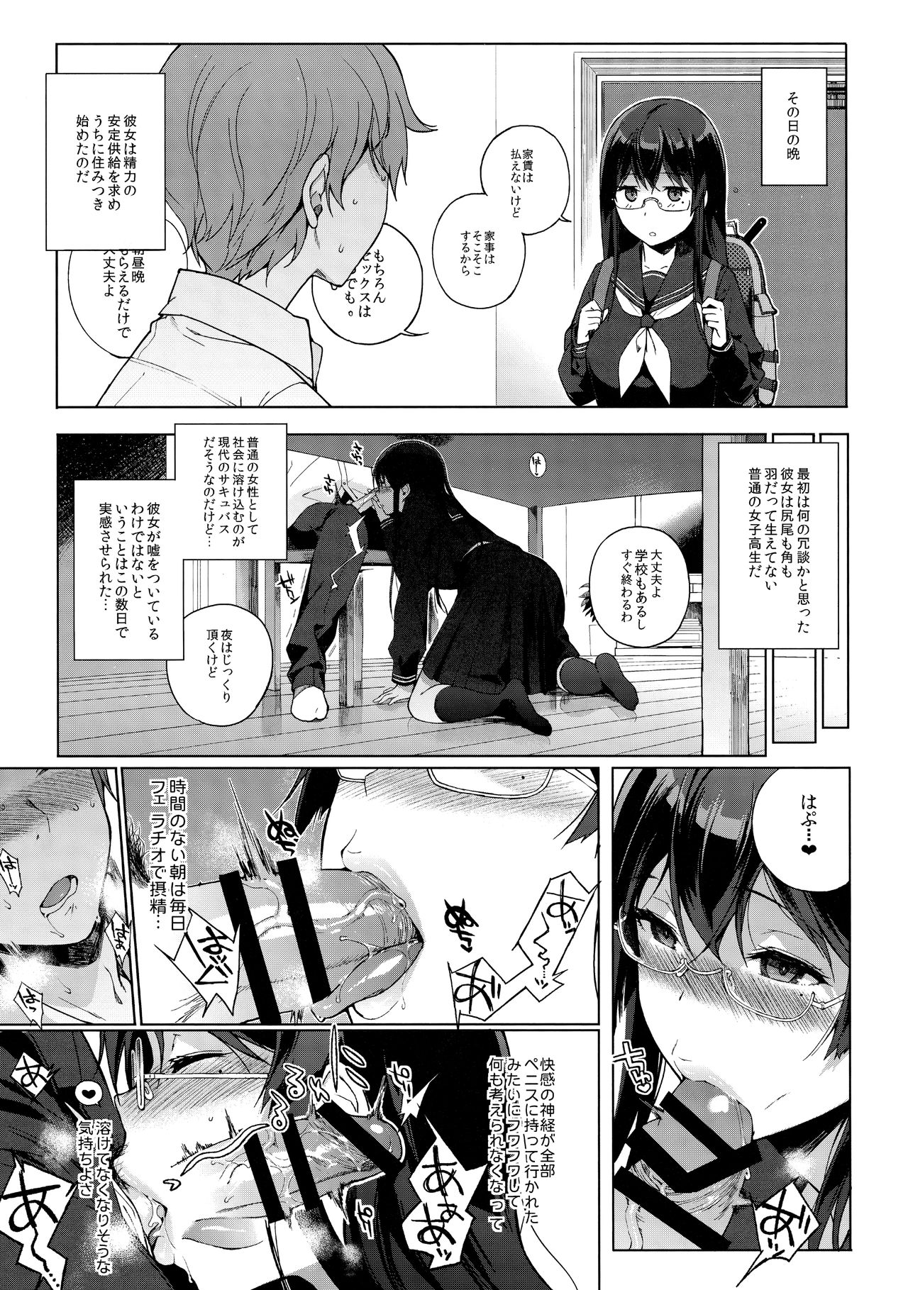 Succubus Stayed Life Soushuuhen page 10 full