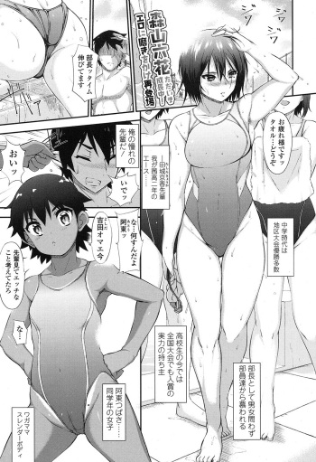 田城先輩。&amp; つばさどきどき。 cover