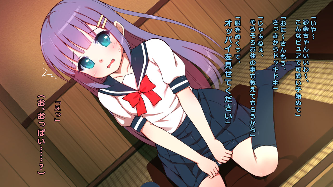 Puchimo Shoujo wa Kamonegii ~Zasshi Model to Injiteiru Seifuku Shojo no Sana-chan Damashite Namahame Dori!!~ page 9 full