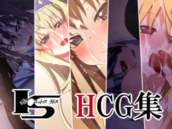 Infinite Stratos HCG Shuu cover