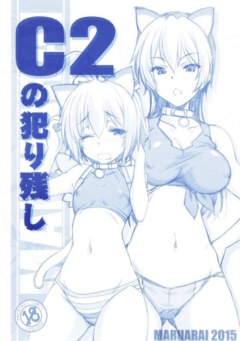 C2 no Yarinokoshi cover
