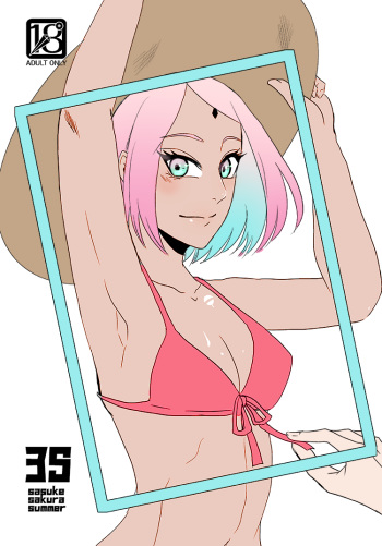 3S cover