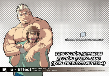 U-Effect cover