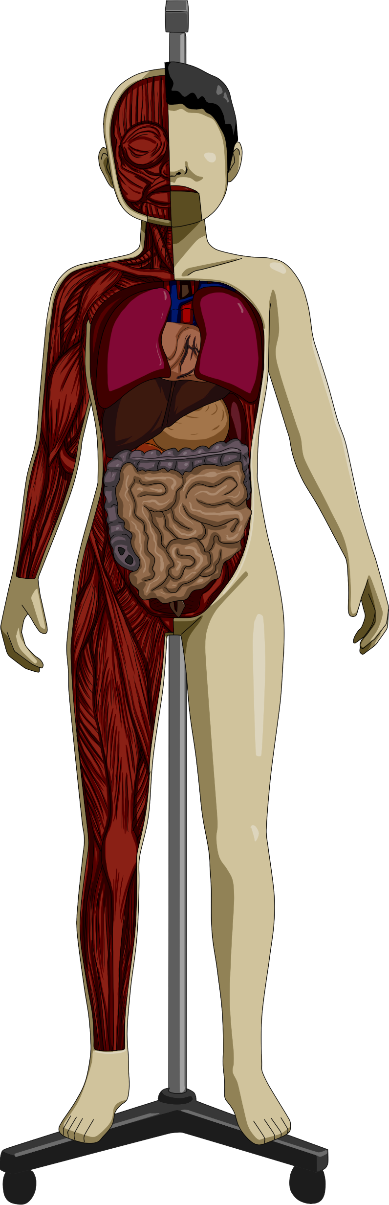 Girls' School Lives and Liver - Other Tours Inspection - page 2 full