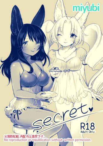 Secret cover