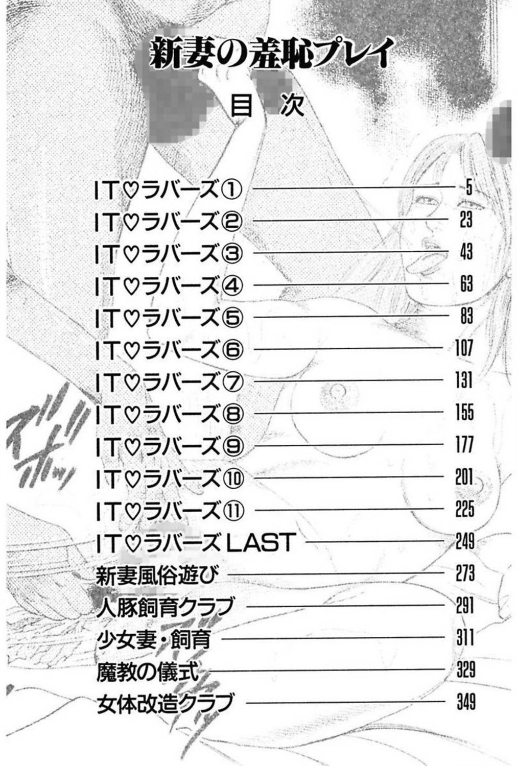 Niizuma No Shuuchi Play page 4 full