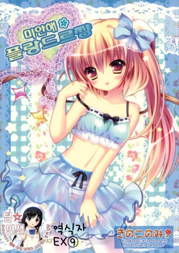 Gomen ne Flandre-chan | 미안해☆플랑드르쨩 cover