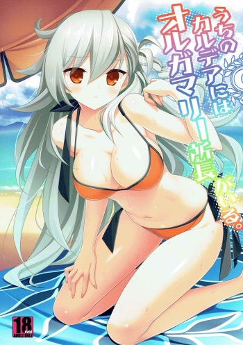 Uchi no Chaldea ni wa Olga Marie Shochou ga Iru. cover
