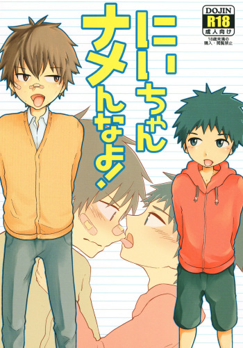 Nii-chan Namen na yo! cover