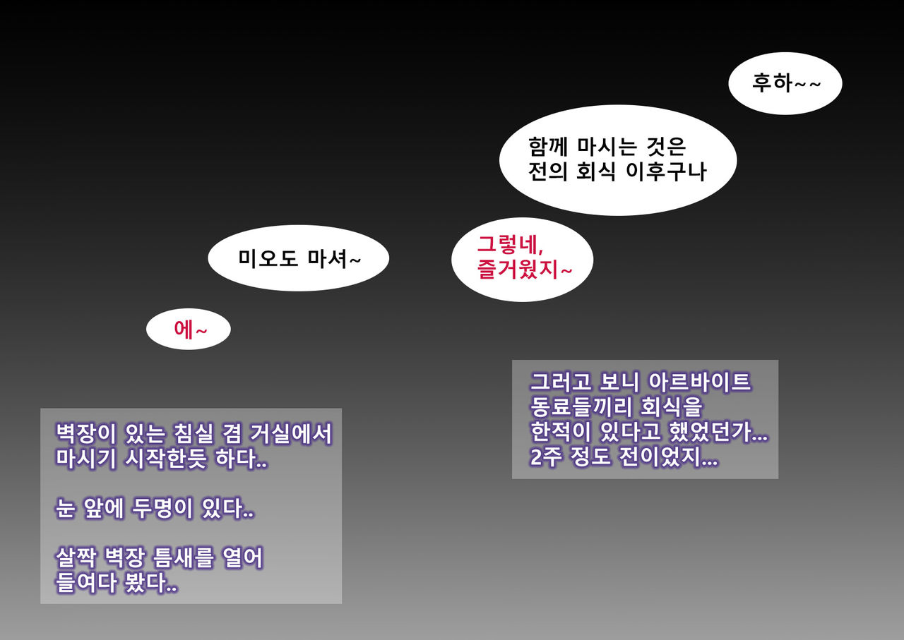 Oshiire no Naka Boku wa Mite ita. ..Saiai no Kanojo no Netorare Sex no Ichibu Shijuu.. | 벽장 속에서 나는 보고 있었다. page 10 full