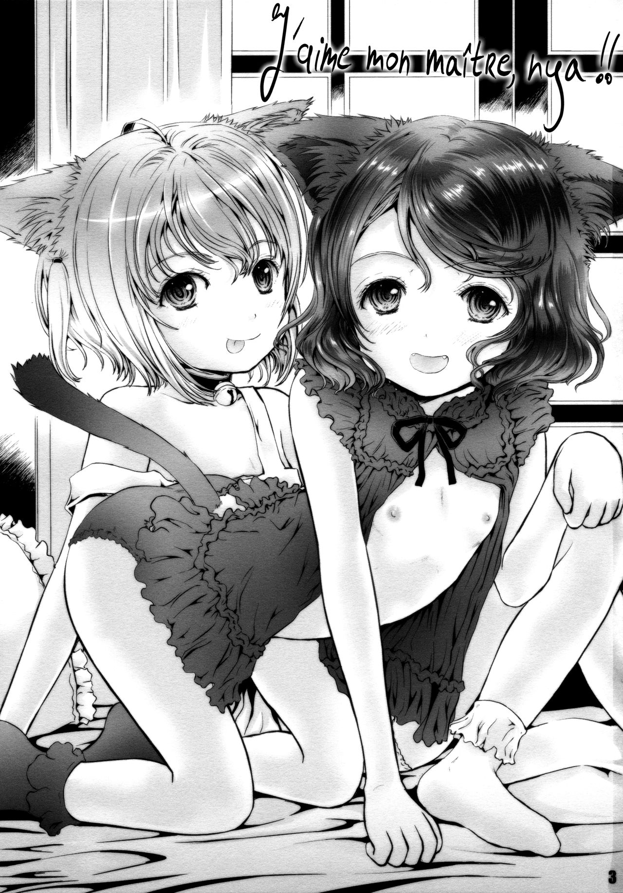 Nyan Nyan Daisuki!! page 2 full