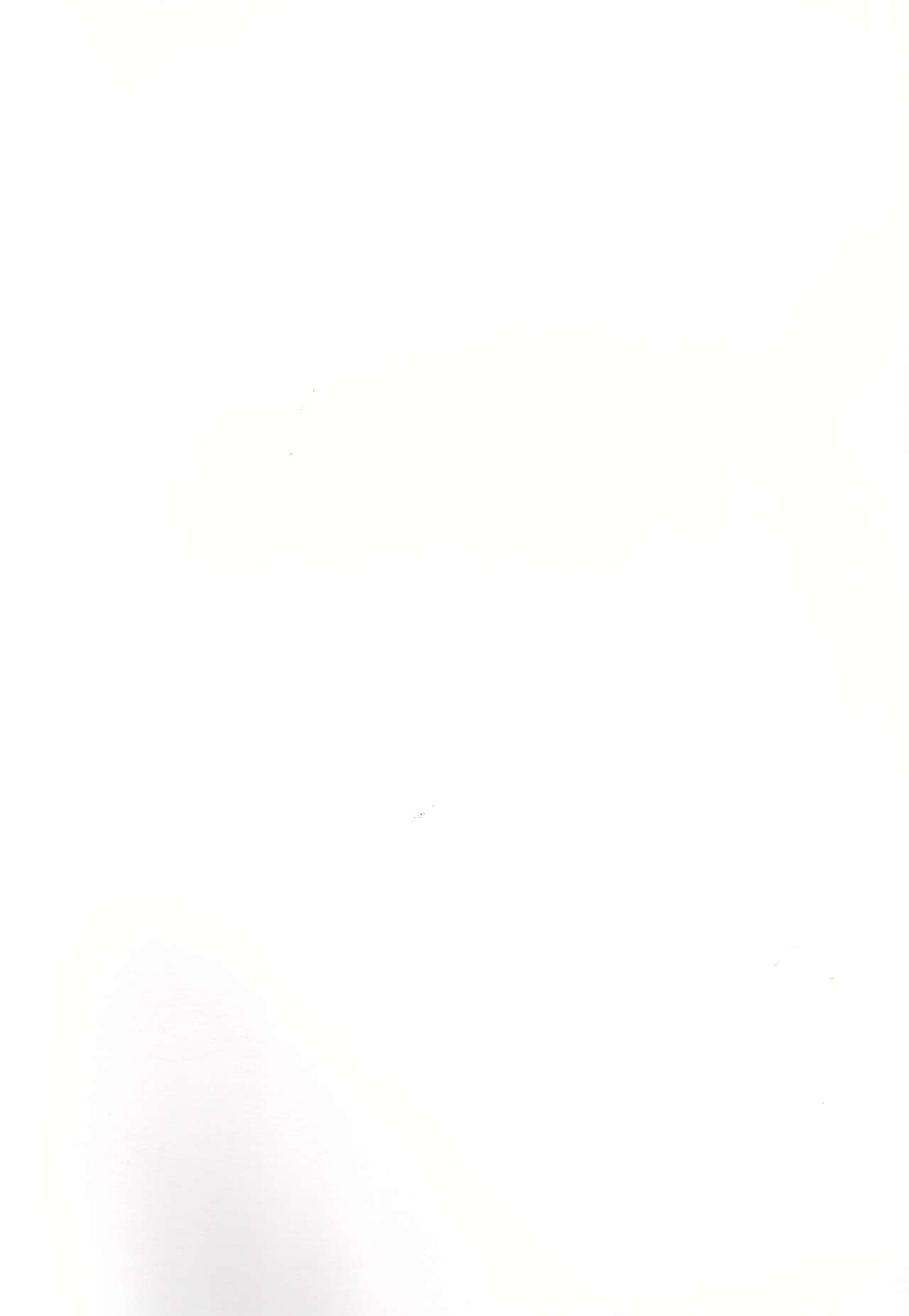 Rukakonosusume page 2 full
