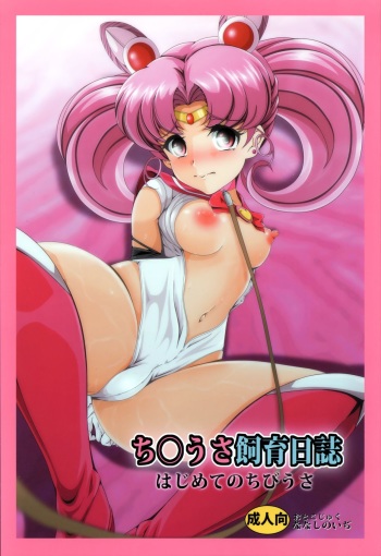 Chibiusa Shiiku Nisshi cover