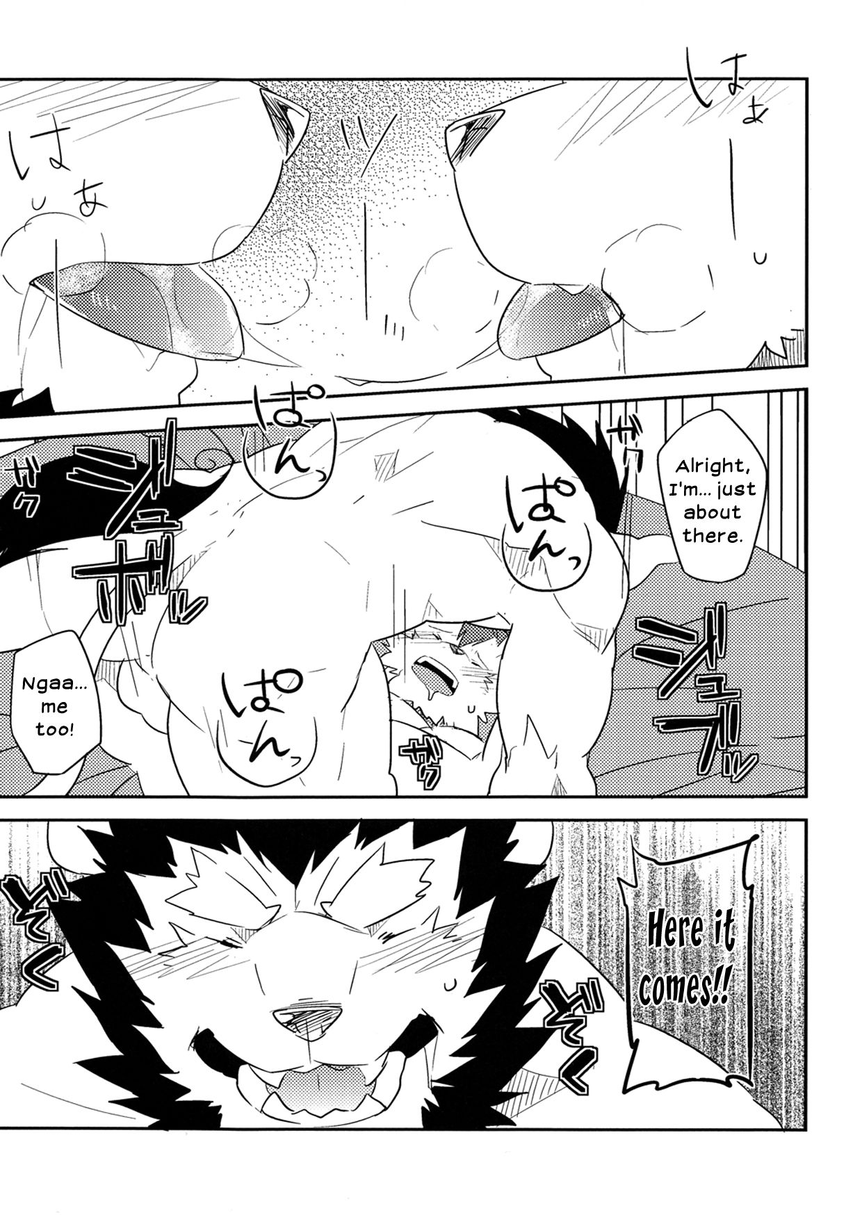 AFTER page 6 full