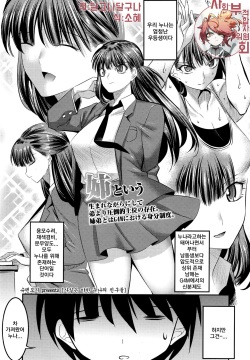 Hontou wa H na Onee-chan no Tomodachi | 사실은 야한 누나의 친구들